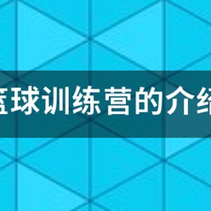 专业篮球训练营多少钱